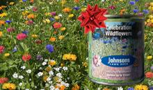 Tapping into Nature: Johnson’s wildflower stocking filler
